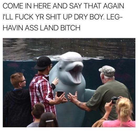 1607474284444.png