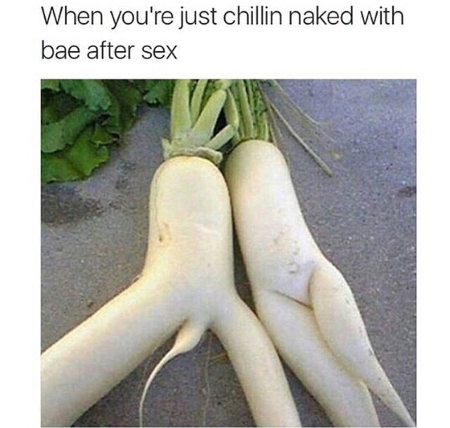 1607474484011.png