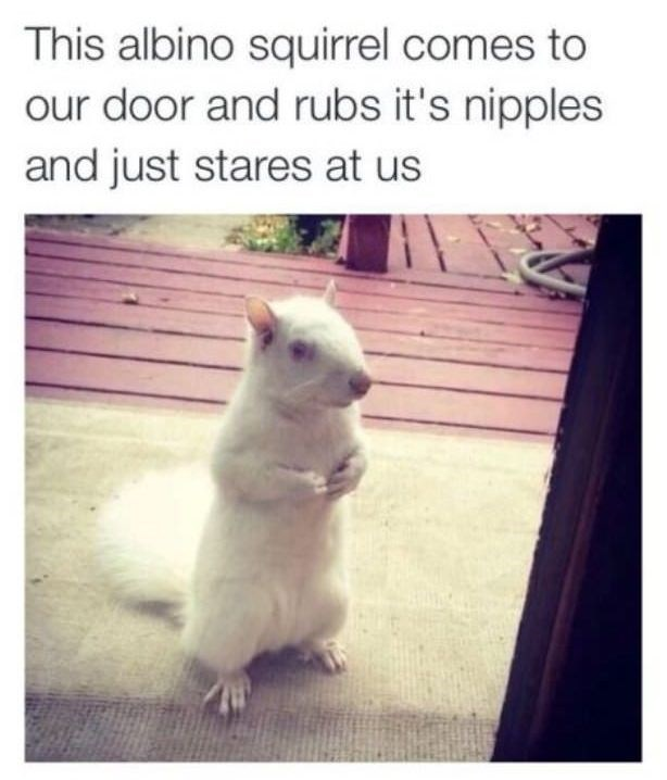 1607474675411.png
