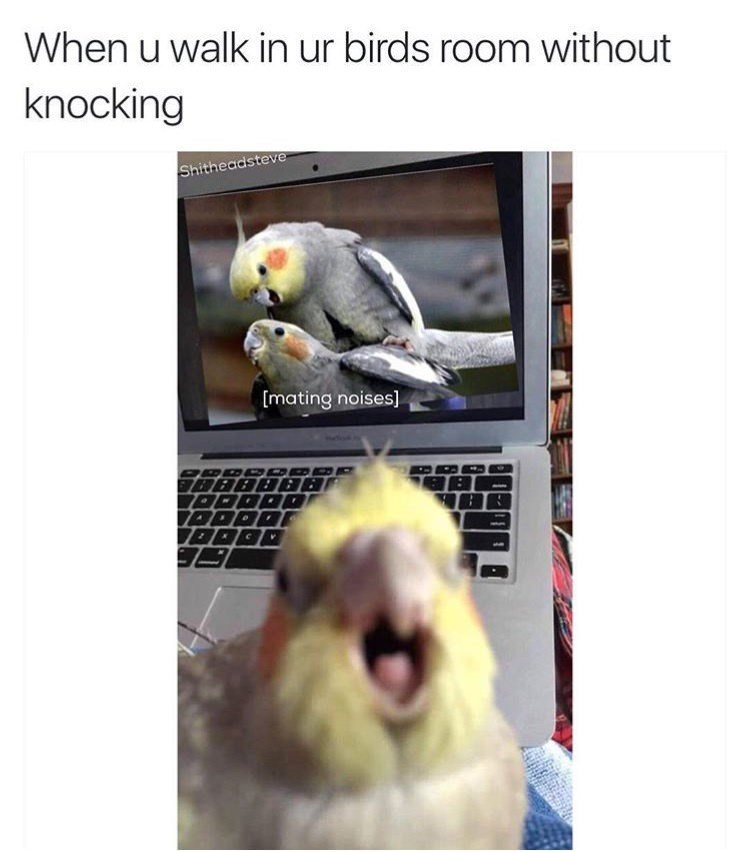 1607475685010.png