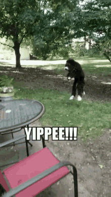 1607752028075.gif
