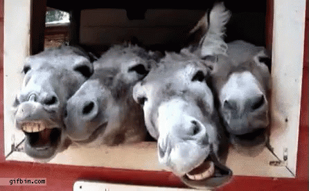 1609877564346.gif