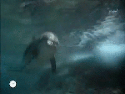 1609893601204.gif