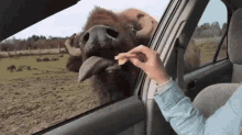 1615047162667.gif