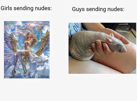 1626307382484.jpeg