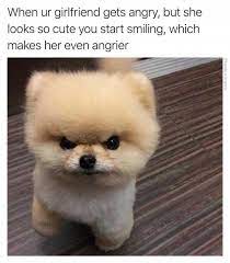 1626383716344.jpeg