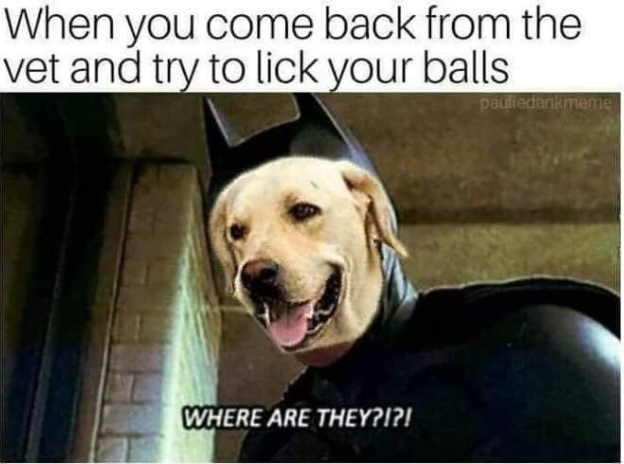 1626495808589.png