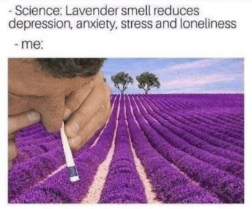 1626496007544.png