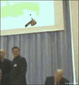 1628054474561.gif