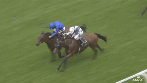 1628090545561.gif