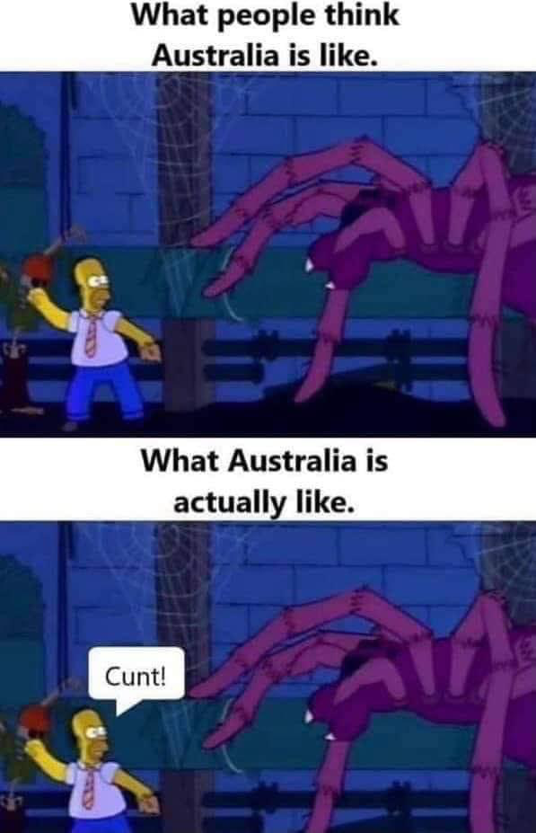 1635290456189.png
