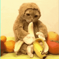 1640541587524.gif