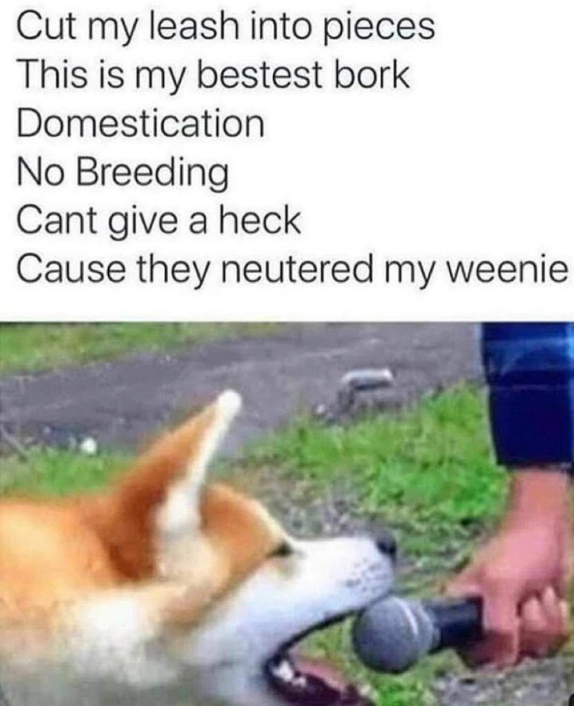 1641713594359.png