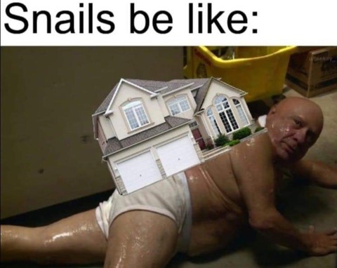 1642621278772.jpeg