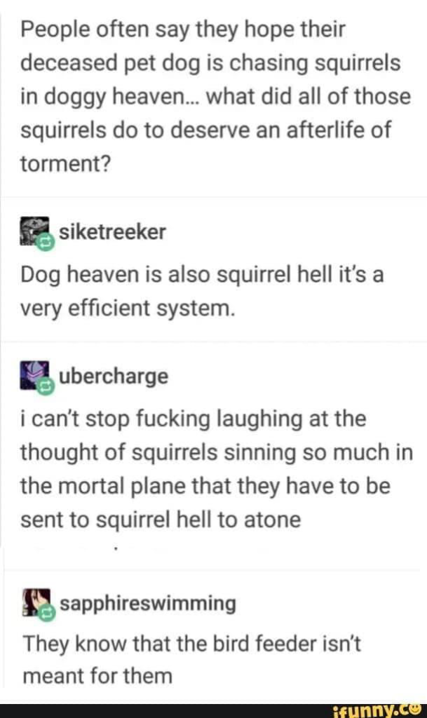 1644449307234.png
