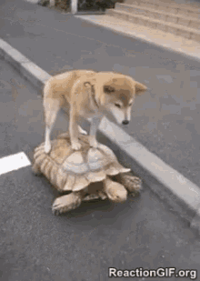 1645201361786.gif
