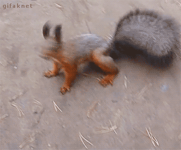 1649245620643.gif