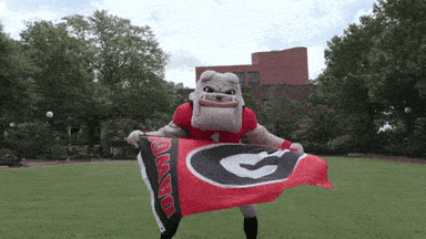 1649343872975.gif