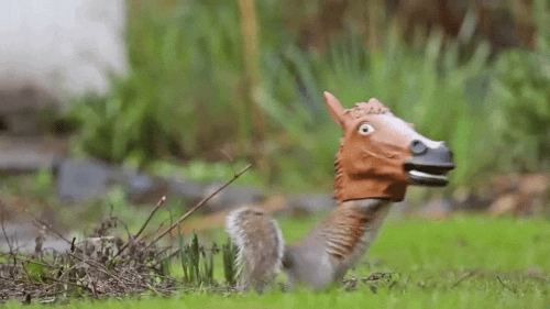 1650292876706.gif