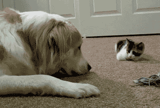 1652565769690.gif