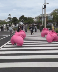 1652796389177.gif