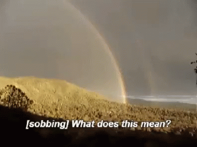 1654564706389.gif