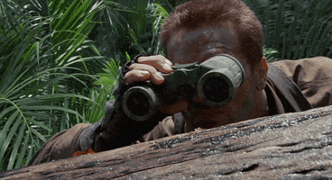1654792618443.gif