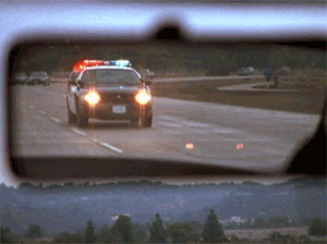 1654925990814.gif
