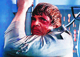 1655038118308.gif