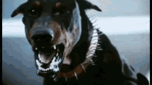 1655500747361.gif