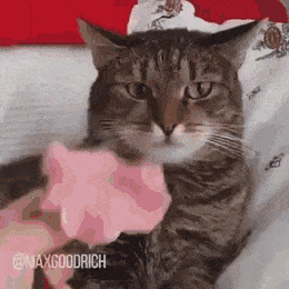 1656210598862.gif