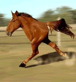 1656884612721.gif