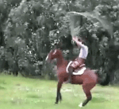 1656952479620.gif