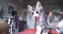 1657471703087.gif