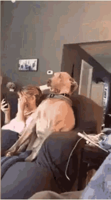 1657925846695.gif