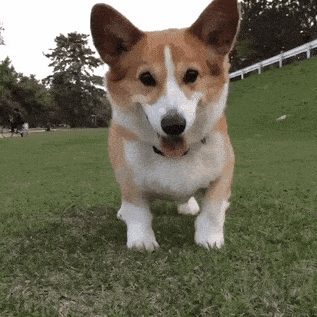 1658150148357.gif