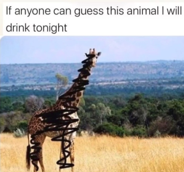 1659147577572.png
