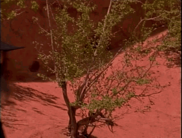 1659672896180.gif