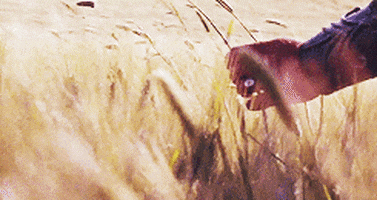 1660846543700.gif