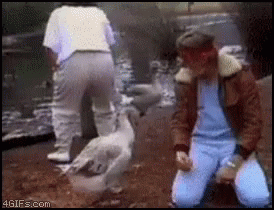 1661008577510.gif