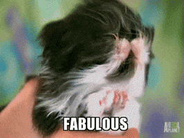 1661725192671.gif