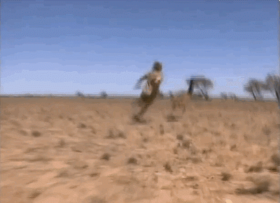 1662057049809.gif