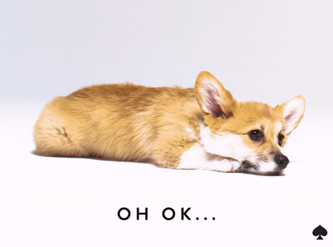 1662463638069.gif