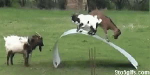 1662577032065.gif