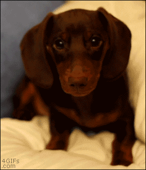 1662587228609.gif