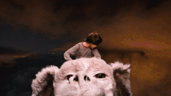 1662643599464.gif