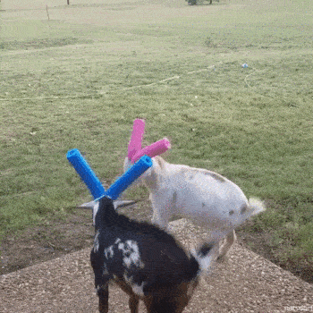 1662646000120.gif