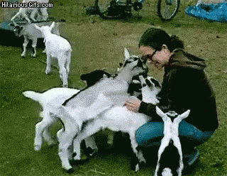 1662647056334.gif