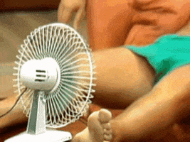 1663474974569.gif
