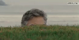 1664596853393.gif